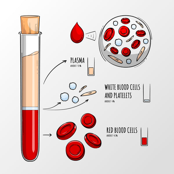 The Dangers of Blood Thinners