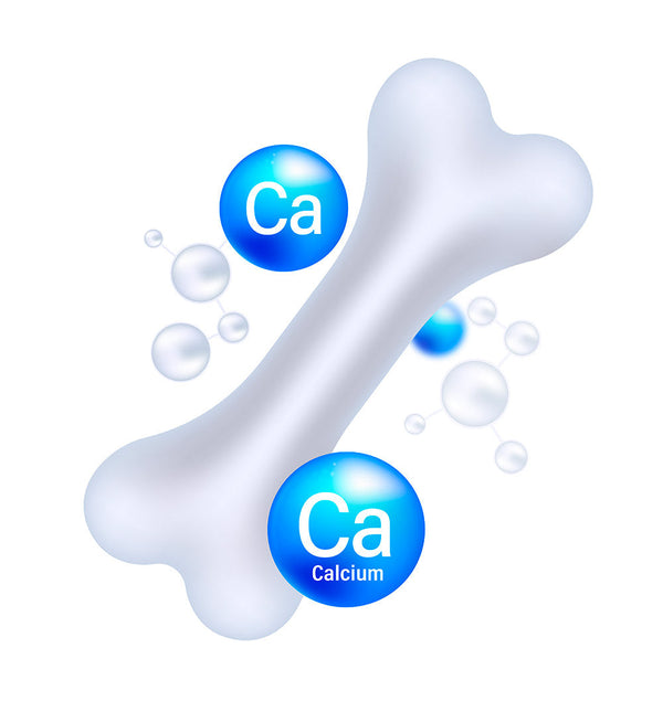 The Calcium Conspiracy