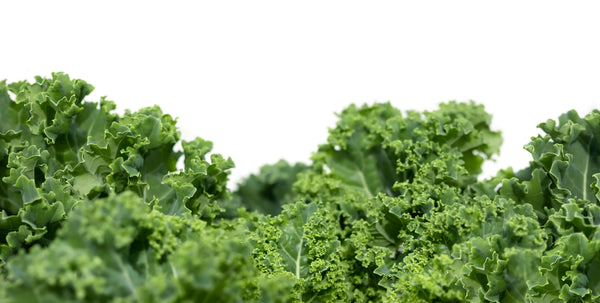 Anti-Nutrients: Cause For Concern?