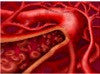 Blood Cleanse (Capsules)