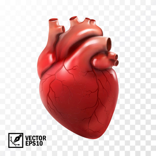 Heart Cleanse (Capsules)