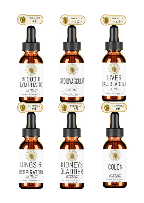 Full Body Detox (Liquid)