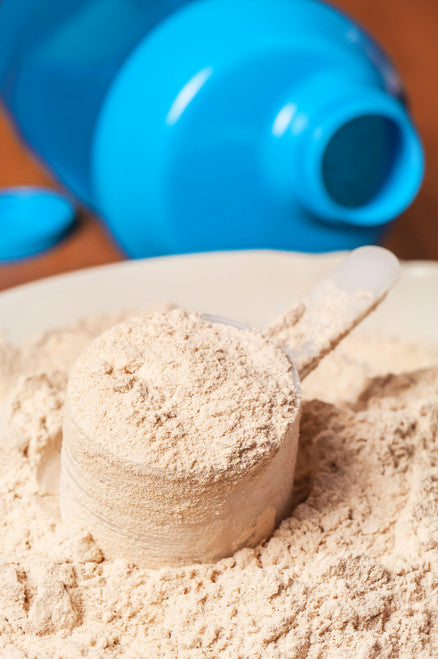 Plant-Protein Powder - 3 oz
