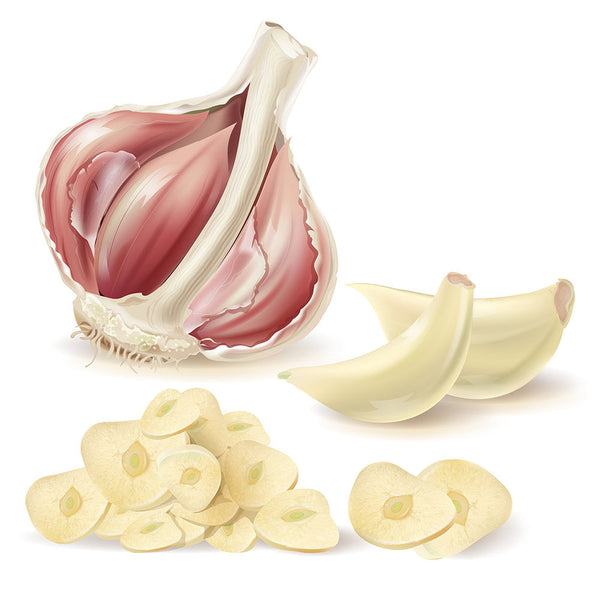 Garlic - Does It Harm the Brain?
