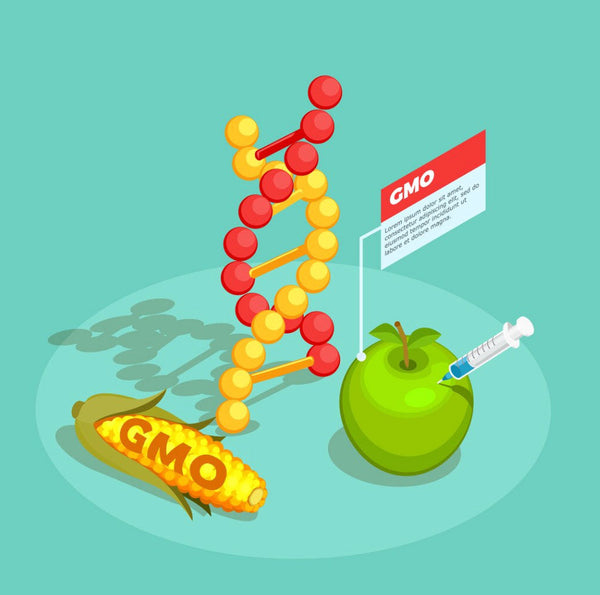 The Dangers of Hybrid, GMO, and Franken Foods