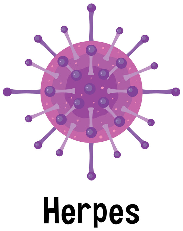 Is Genital Herpes Curable?