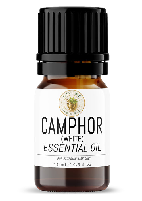 Camphor (White) Essential Oil - 15ml