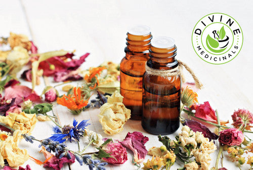 Thyme (White) Essential Oil