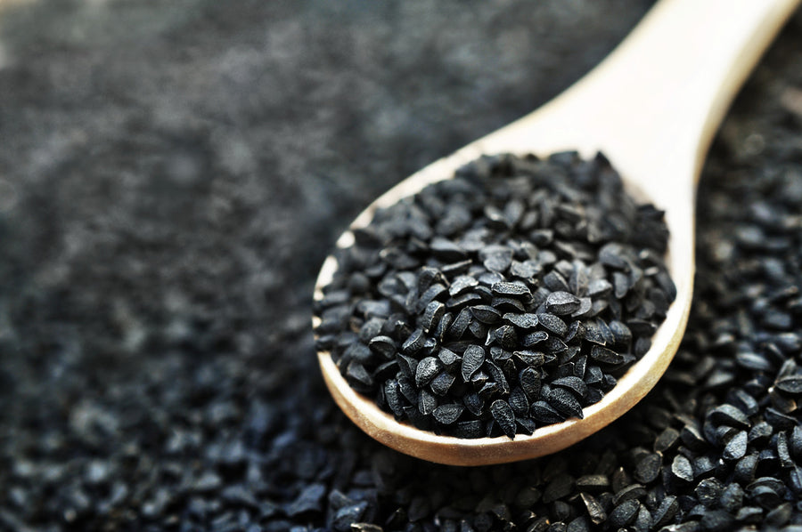 Black Seed Extract - 2oz