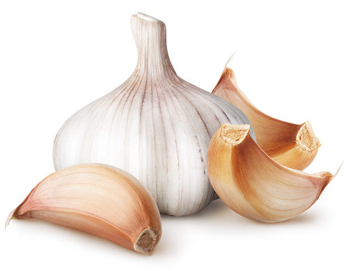 Garlic (Organic) - 100 Capsules